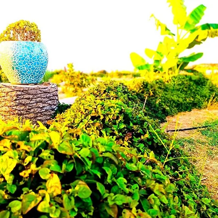 Suerte Cyprus Dom wakacyjny Akanthou