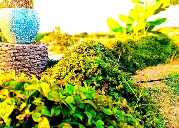 Suerte Cyprus Casa vacanze Akanthou