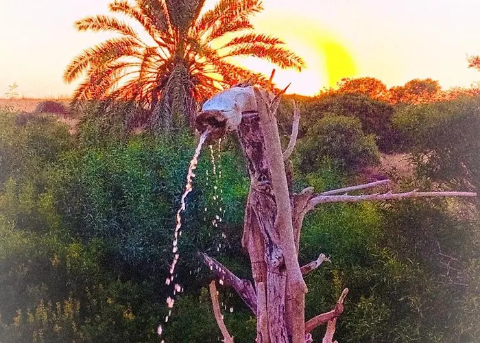 Suerte Cyprus * Akanthou