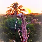 Suerte Cyprus * Ακανθού
