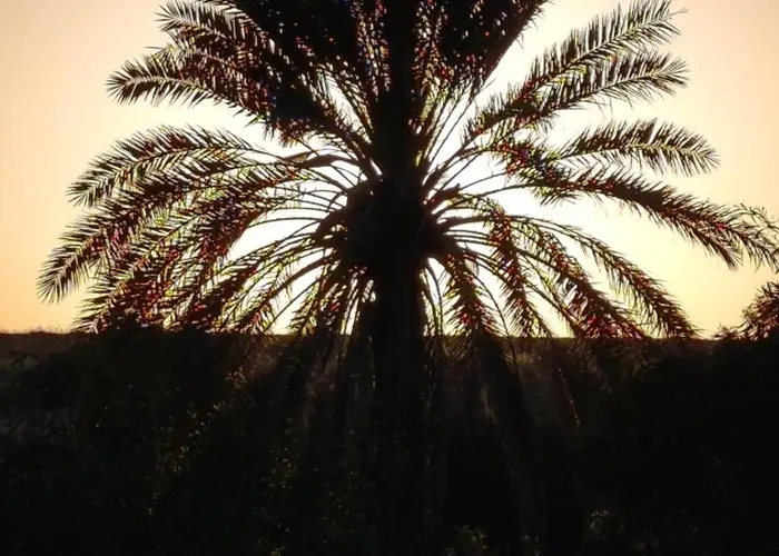 Suerte Cyprus Prázdninový dům *