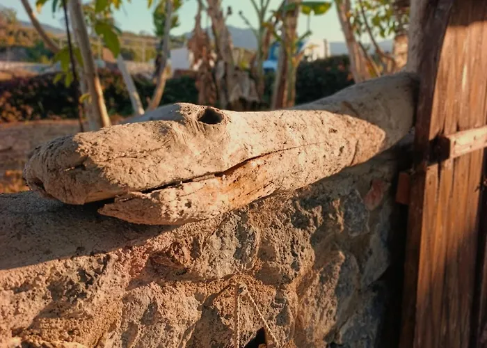 Suerte Cyprus Prázdninový dům