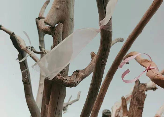 Suerte Cyprus Prázdninový dům Akanthou