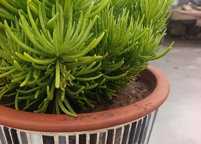 Prázdninový dům Suerte Cyprus *