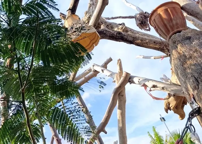 Suerte Cyprus * Akanthou